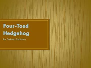 Four-Toed Hedgehog