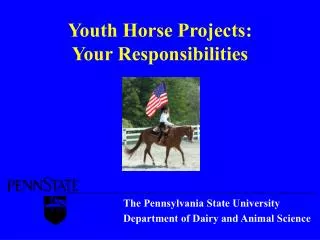 Youth Horse Projects: Your Responsibilities