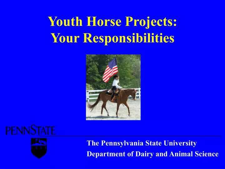 youth horse projects your responsibilities