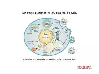 G Neumann et al. Nature 459 , 931-939 (2009) doi:10.1038/nature08157