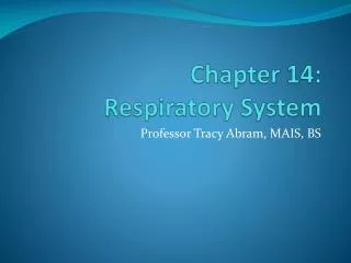 Chapter 14: Respiratory System