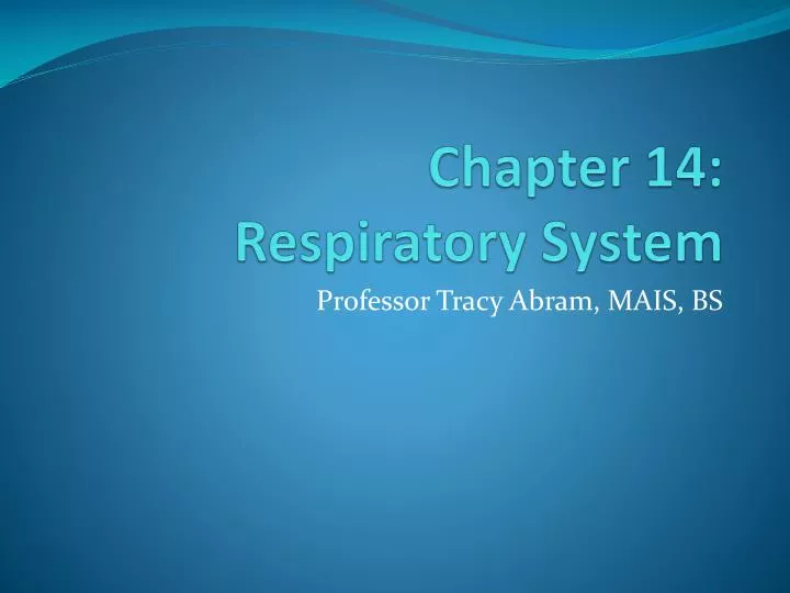 chapter 14 respiratory system