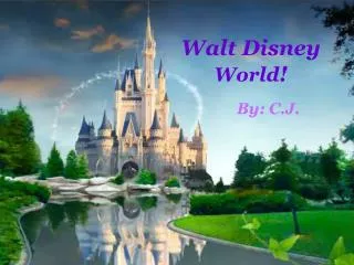 walt disney world