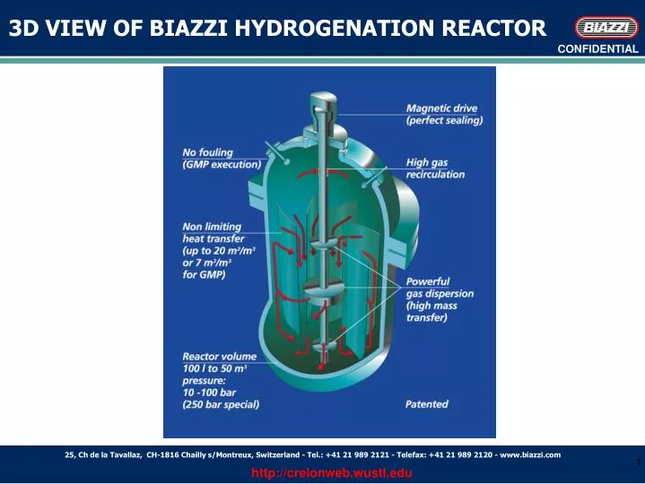 3d view of biazzi hydrogenation reactor