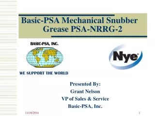 Basic-PSA Mechanical Snubber Grease PSA-NRRG-2