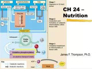 CH 24 – Nutrition