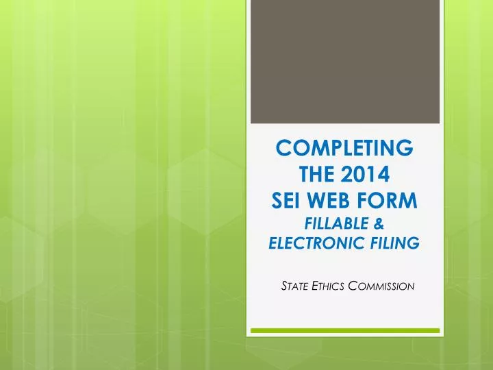 completing the 2014 sei web form fillable electronic filing