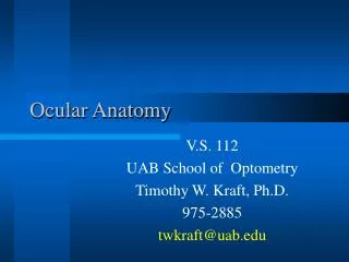 Ocular Anatomy