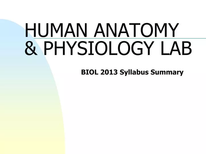 human anatomy physiology lab