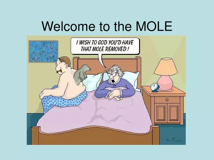 welcome to the mole