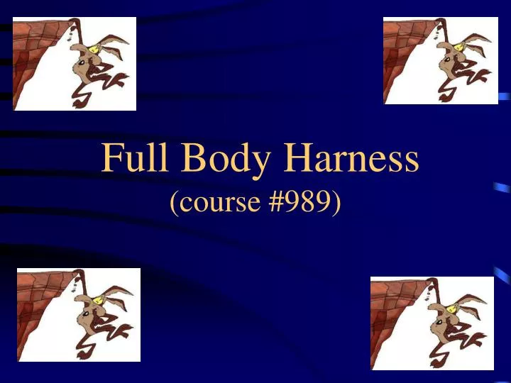 full body harness course 989