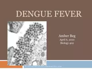 Dengue Fever