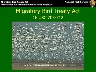 Migratory Bird Treaty Act