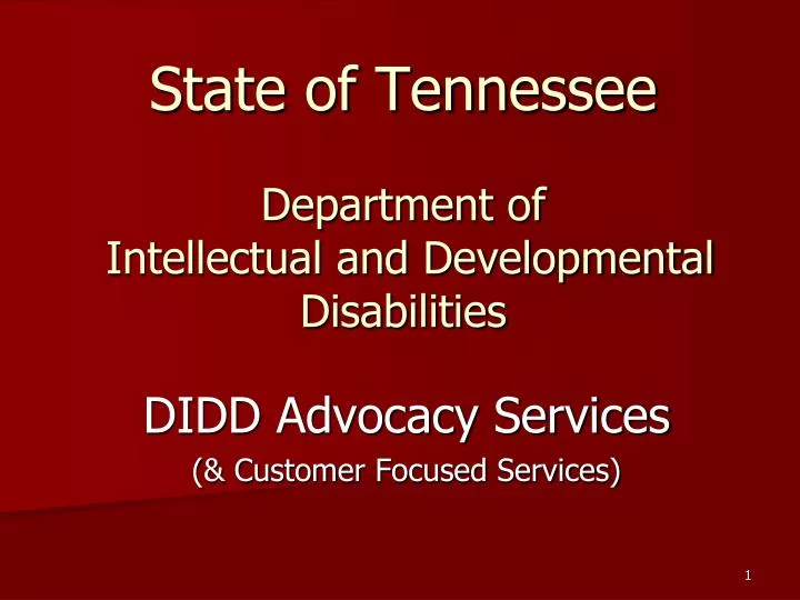 state of tennessee department of intellectual and developmental disabilities