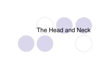 The Head and Neck