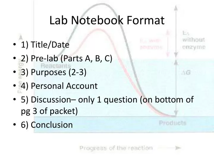 lab notebook format