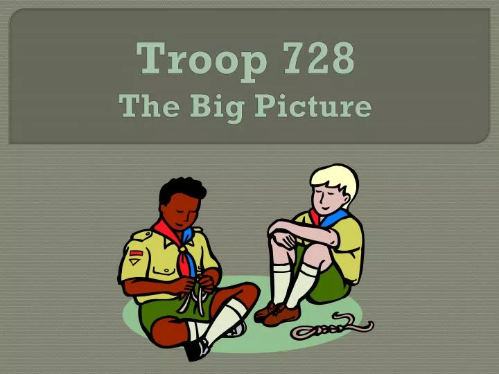 troop 728 the big picture