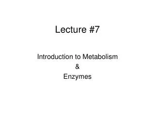 lecture 7
