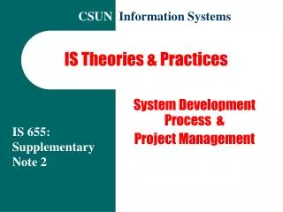 IS Theories &amp; Practices