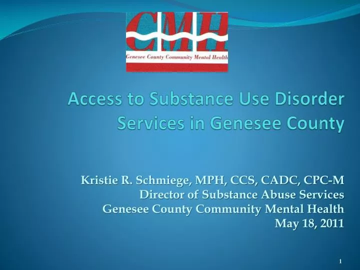 access to substance use disorder services in genesee county