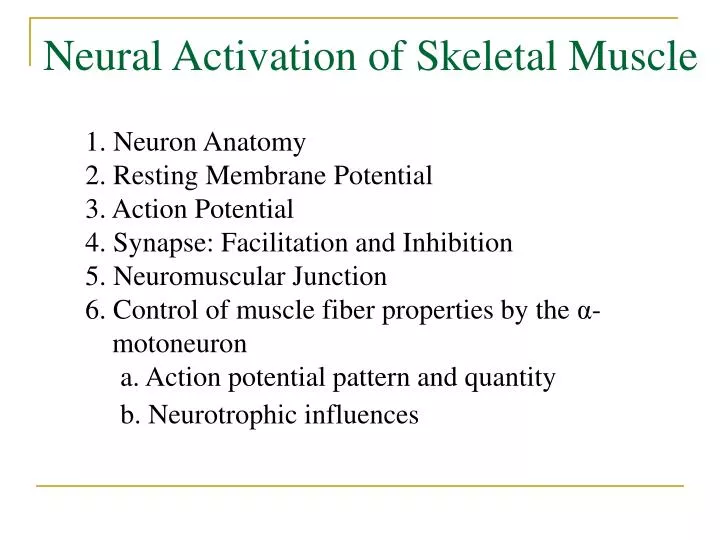 neural activation of skeletal muscle