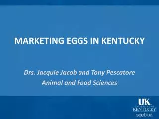 MARKETING EGGS IN KENTUCKY