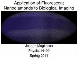 Application of Fluorescent Nanodiamonds to Biological Imaging