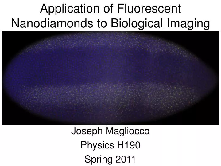 application of fluorescent nanodiamonds to biological imaging