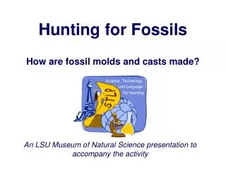 Hunting for Fossils