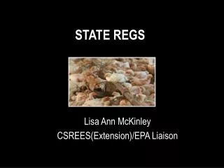 STATE REGS