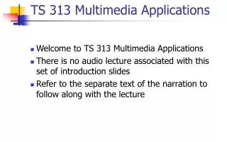 TS 313 Multimedia Applications