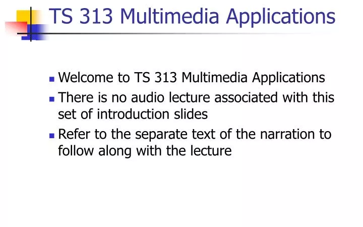 ts 313 multimedia applications