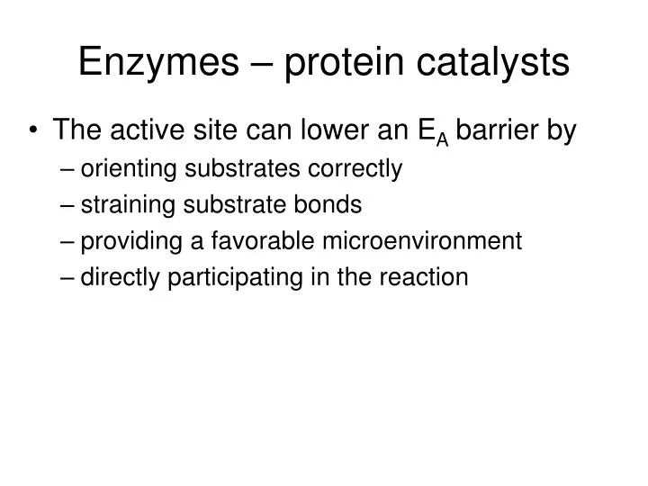 enzymes protein catalysts