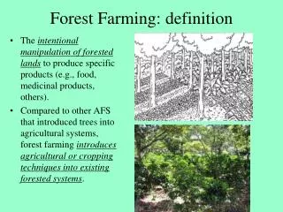Forest Farming: definition