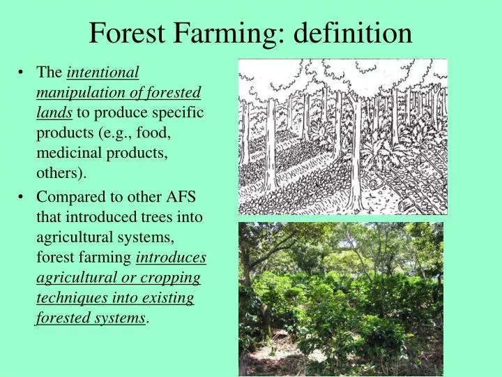 forest farming definition