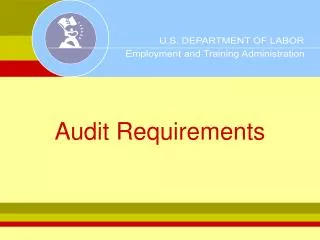 Audit Requirements