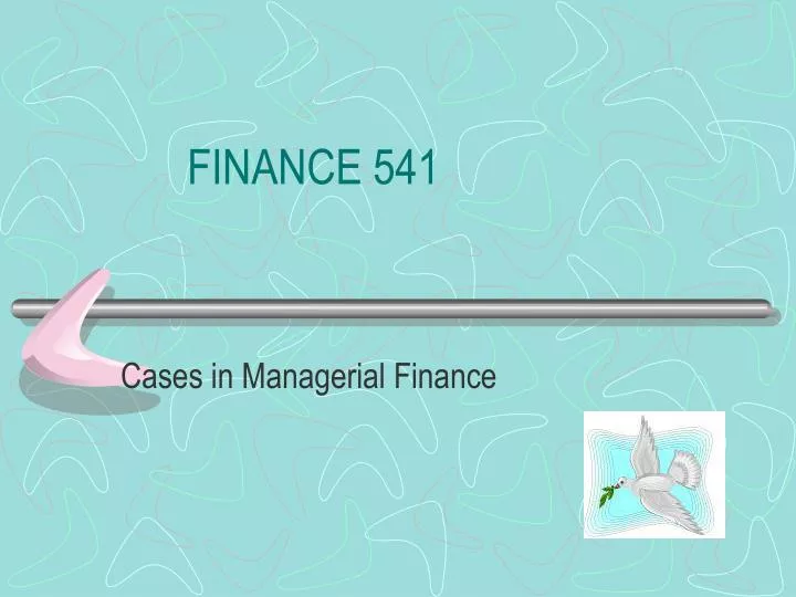 finance 541
