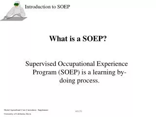 What is a SOEP?