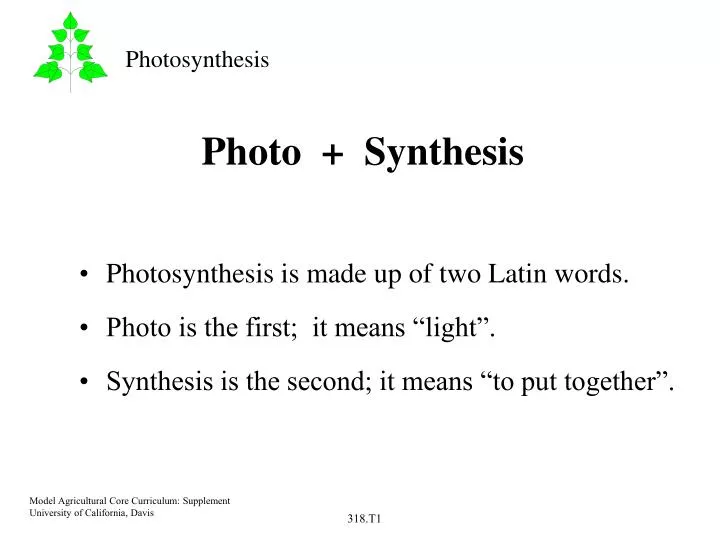 photo synthesis