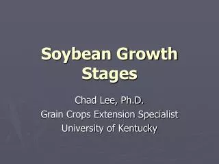 Soybean Growth Stages