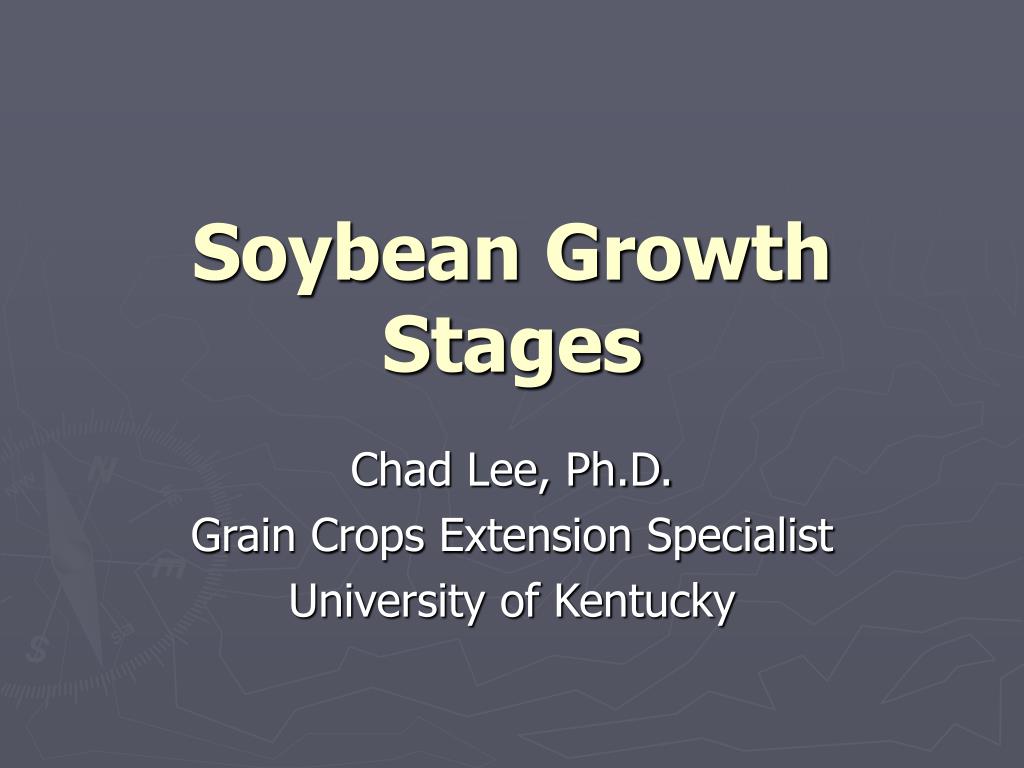 PPT - Soybean Growth Stages PowerPoint Presentation, free download - ID ...
