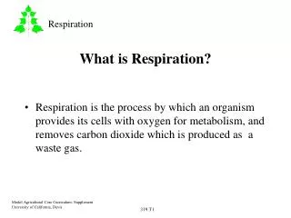 What is Respiration?