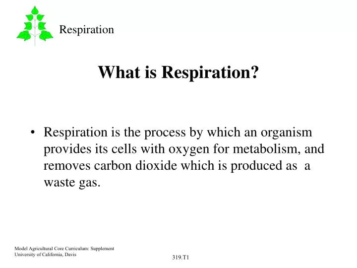 what is respiration