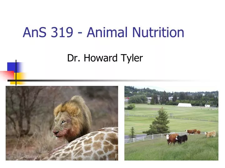 ans 319 animal nutrition