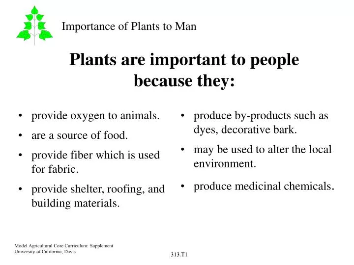 plants are important to people because they