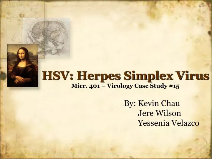 hsv herpes simplex virus micr 401 virology case study 15