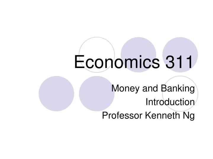 economics 311