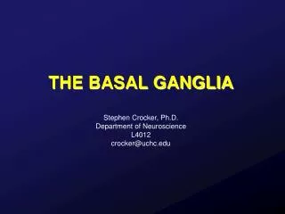 THE BASAL GANGLIA