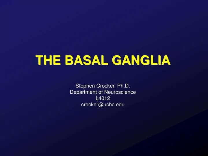 the basal ganglia