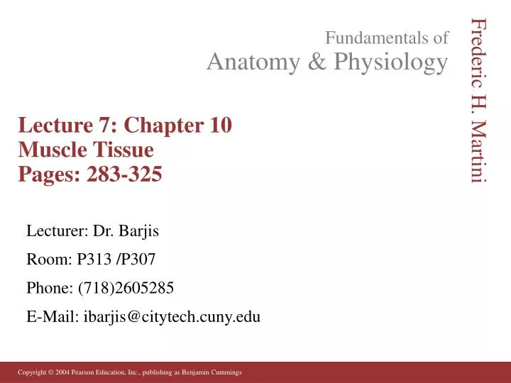 lecture 7 chapter 10 muscle tissue pages 283 325